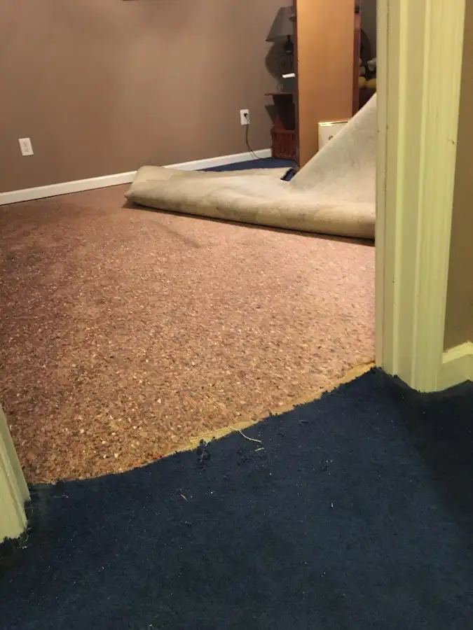 Carpet pad removal revealing water damage during Drying & Dehumidification in Landover