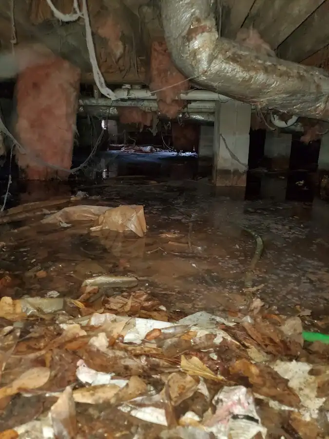 Crawl space flood assessment for Leak Detection & Repair in Landover