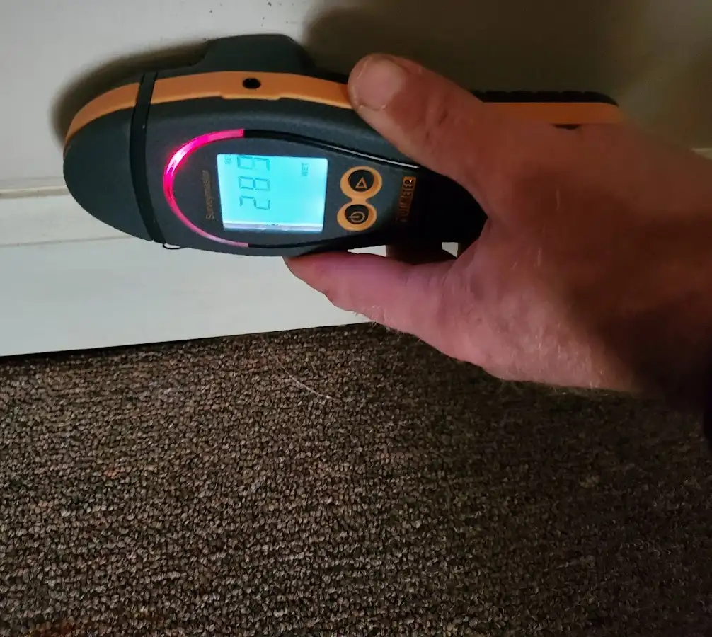 Moisture detection at baseboard during Sewage Cleanup & Sanitation in Landover